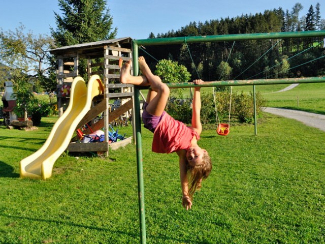 Bauernhof Mussbachhof in Saalfelden