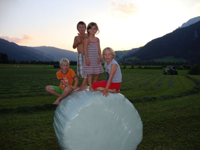 Bauernhof Mussbachhof in Saalfelden