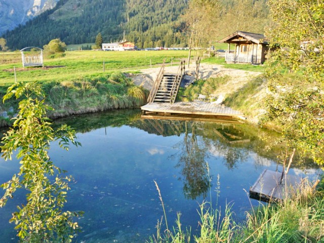 Bauernhof Mussbachhof in Saalfelden