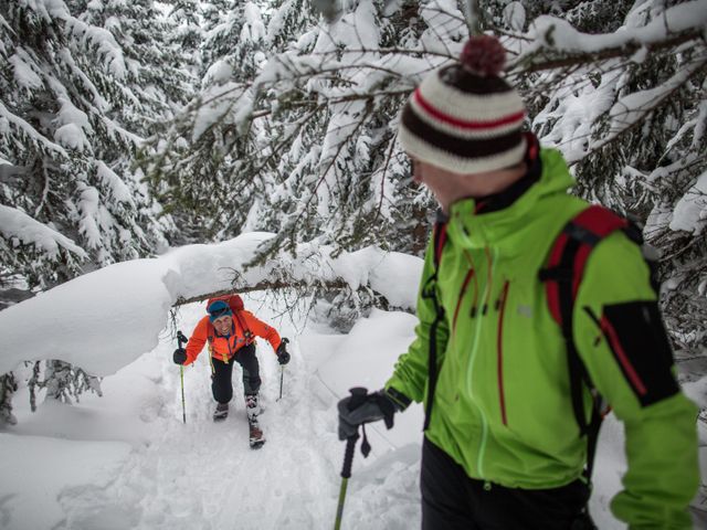 Steiner's Wellness-Appartements 