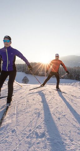 Ferienwohnungen Theurerhof