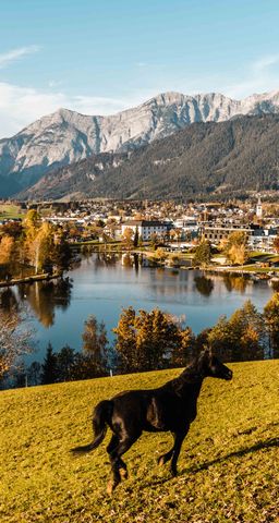 Ferienwohnung Weitblick
