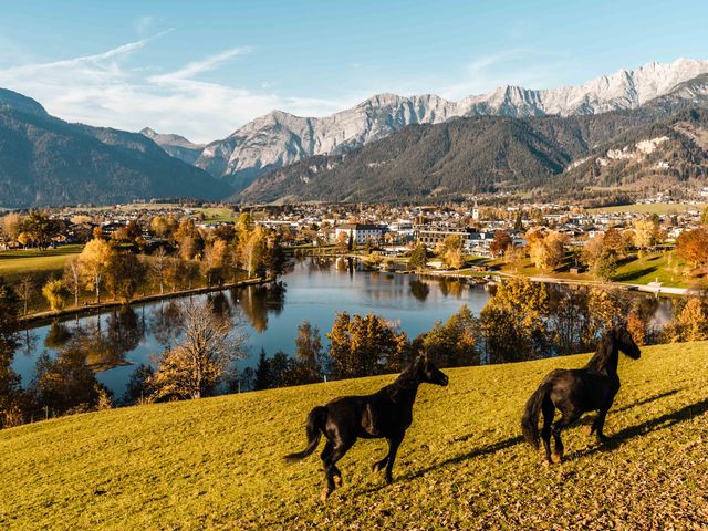 Ferienwohnung Weitblick
